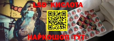 spice Будённовск