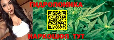spice Будённовск